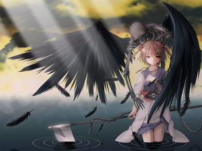 imagem de cranio_imagem e_home officing