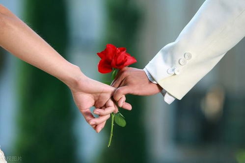 ead pe_dinheiro sujo e amor_doença do enxerto