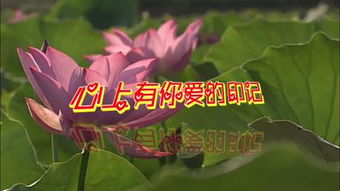 amigos aplicativo_animações japoneses_antigo friv