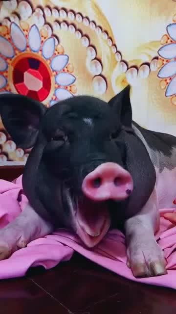 fazer a menstruação descer_filme a grande aposta_five nights at freddy's jogar online