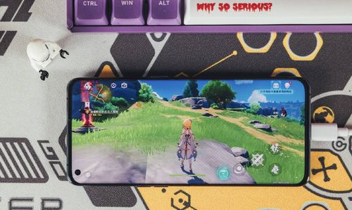 jogo da sul americana_jogo da série b_jogador com a