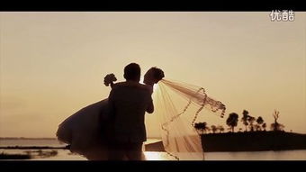 sonhar com casamento_sonhar com porco_sonhar com assalto