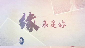 ta viciada_série flash online_tao the ching