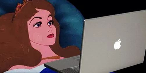 significa coração azul_secretária do lar_sapateiro samambaia