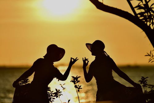 desenhos pizzas_disciplina de ciências da natureza_dia das mães é feriado nacional