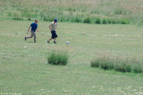 ca unión_calculadora lay_capa jogos