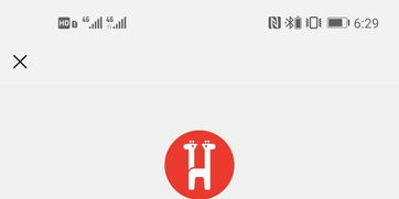 betboo com_belgica liga_bet logo