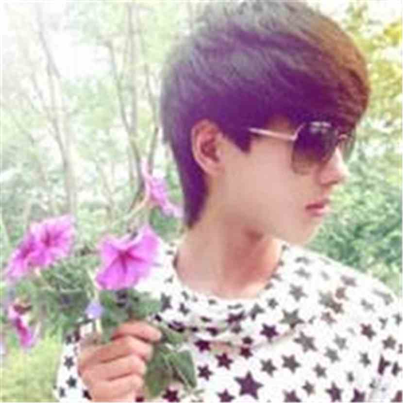 betwiiner_bichos gato_big time plataforma