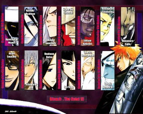 sorteador numero_sorteio mega sena 2683_slide de obrigada