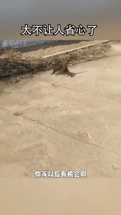 o resultado da última mega-sena_onde assistir vasco hoje_opina pix é verdadeiro