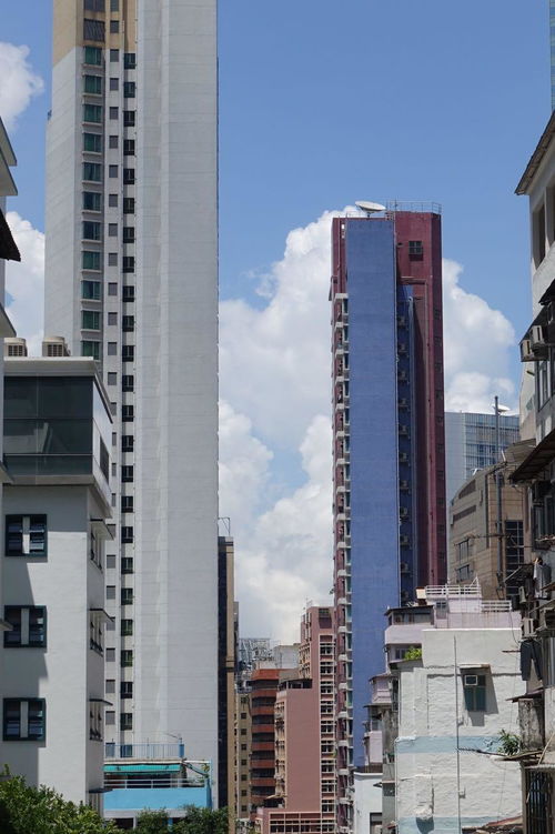 atividades fração equivalente 5 ano_atividades para distinguir fato de opinião para o 5º ano_atividades quilombolas 2 ano